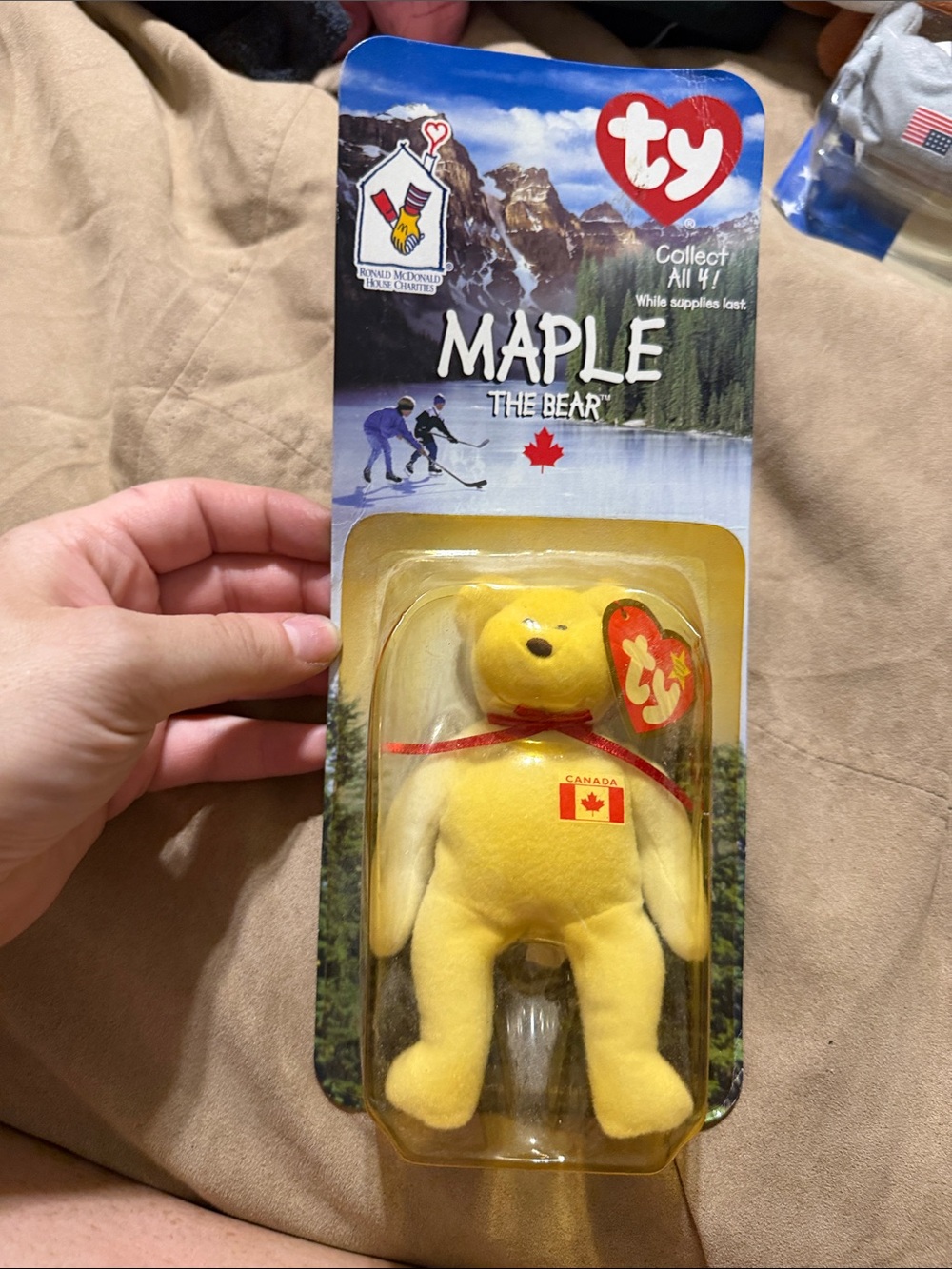 Cardboard-packaged plush toy